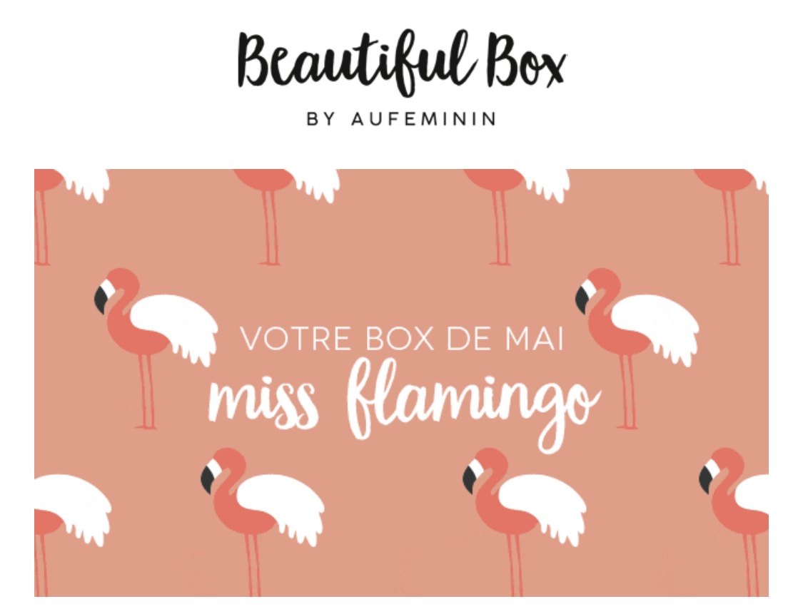 Beautiful Box Miss Flamingo