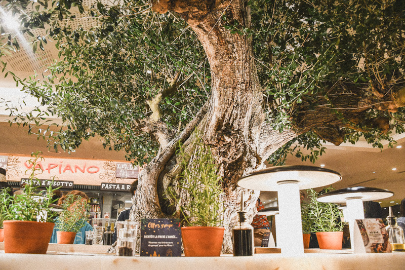 L'ambiance Italienne Vapiano Lille